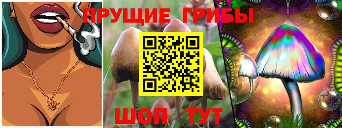 Стрежевой  Галлюциногенные грибы мицелий  Вход с VPN 